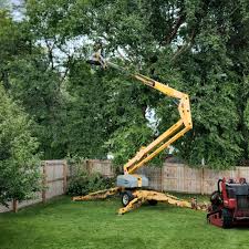 Best Tree Mulching  in Cleveland Heights, OH