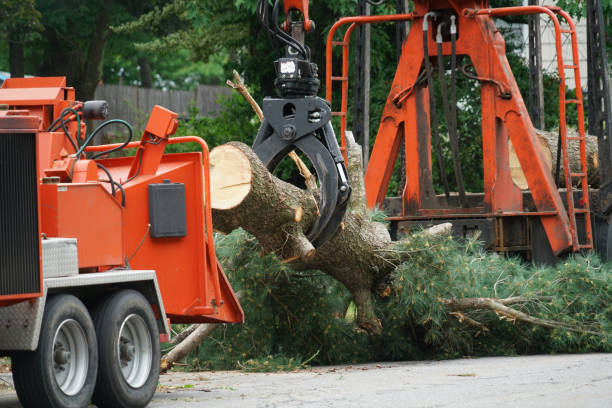 Grass Overseeding in Cleveland Heights, OH